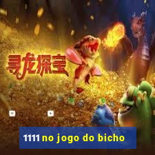 1111 no jogo do bicho